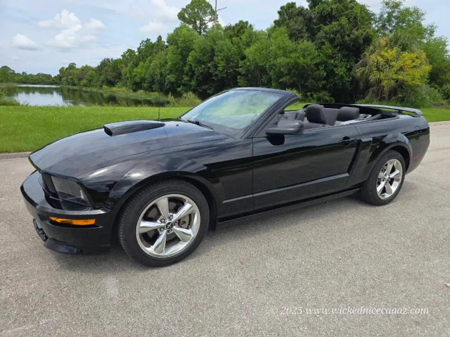 2009 Ford Mustang GT Premium photo 1
