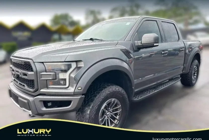 2019 Ford F-150 Raptor photo 1
