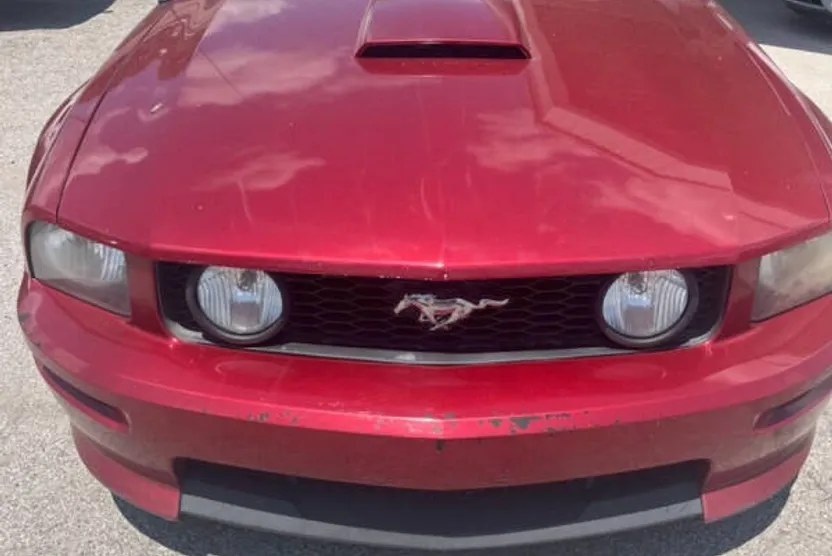 2007 Ford Mustang GT Deluxe photo 1