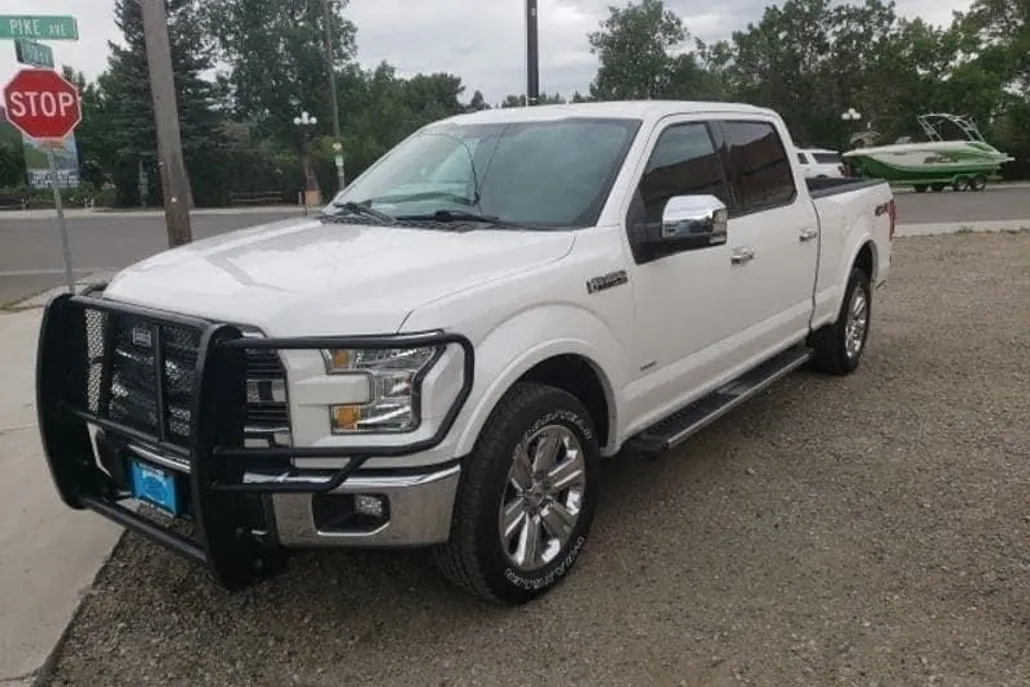 2017 Ford F-150 photo 1