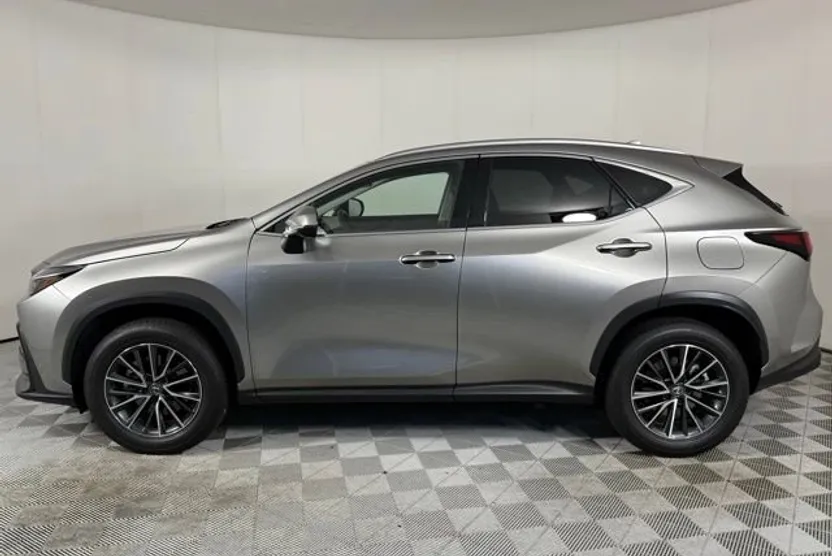 2024 Lexus NX 350h Premium photo 1