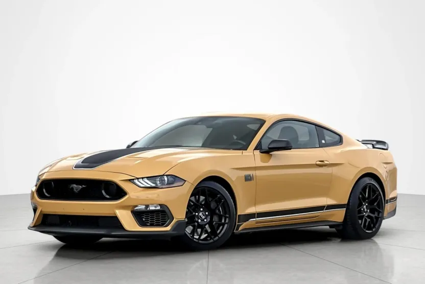 2022 Ford Mustang Mach 1 photo 1