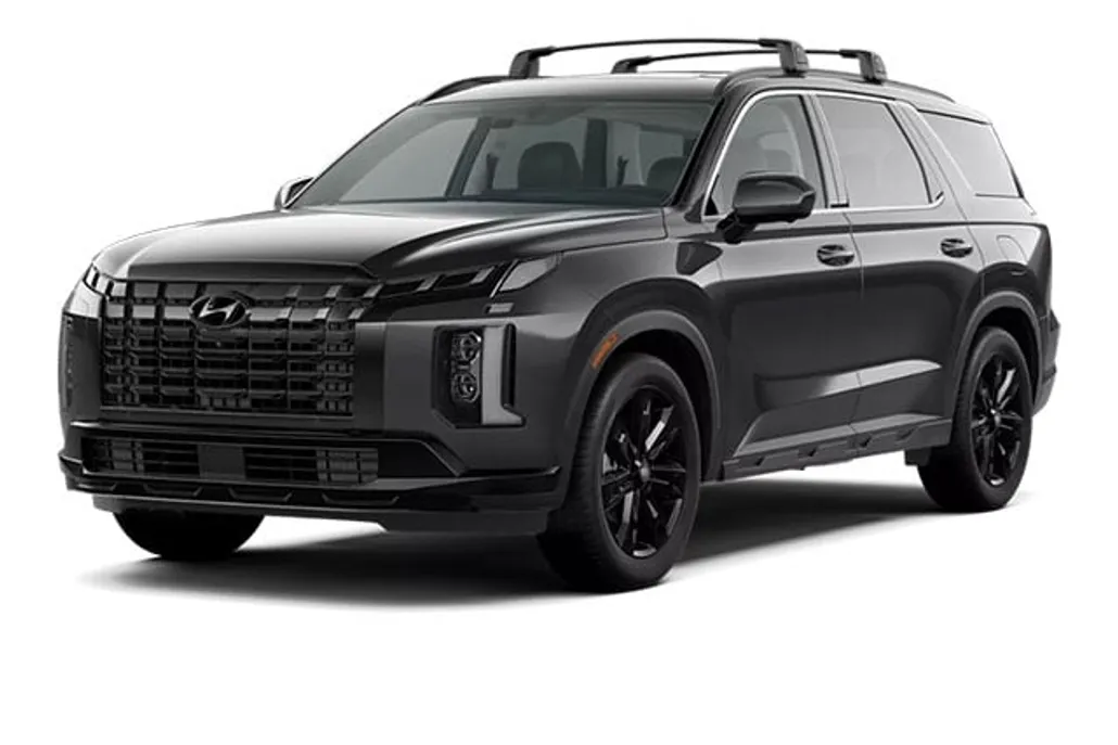 2025 Hyundai Palisade XRT photo 1