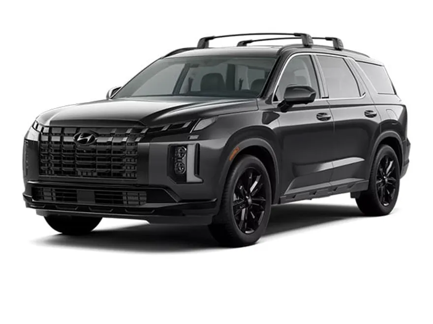 2025 Hyundai Palisade XRT photo 1