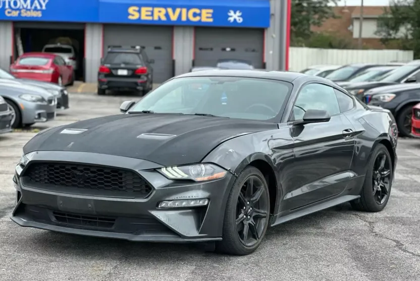 2019 Ford Mustang EcoBoost photo 1