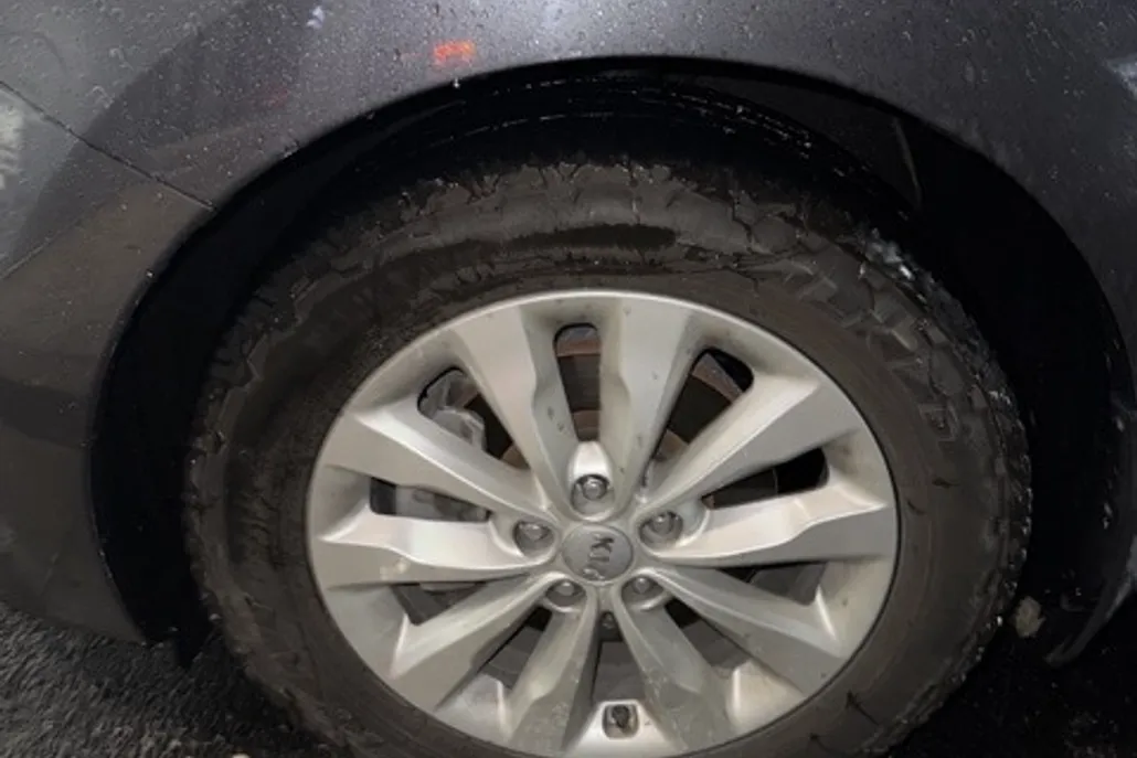 2015 Kia Sedona EX photo 1