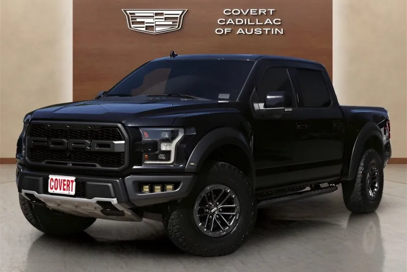 2019 Ford F-150 Raptor photo 1