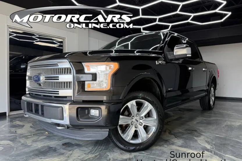 2016 Ford F-150 Platinum photo 1