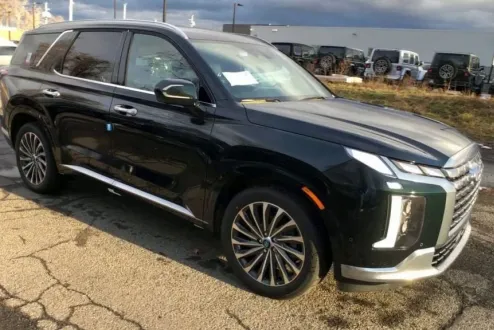 2025 Hyundai Palisade Calligraphy photo 2
