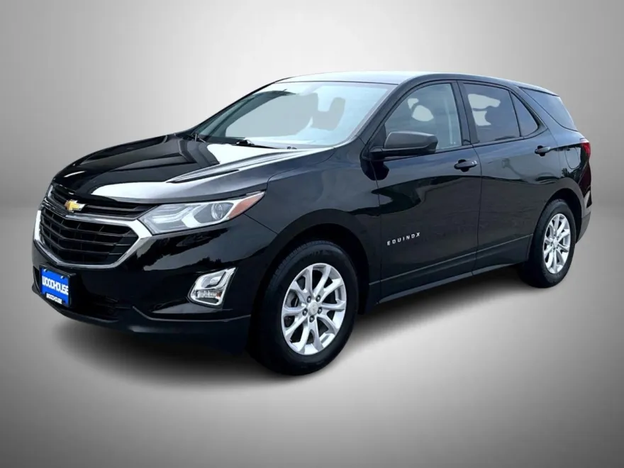 2019 Chevrolet Equinox LS photo 1