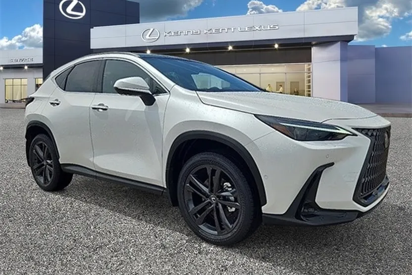 2025 Lexus NX Luxury AWD photo 1