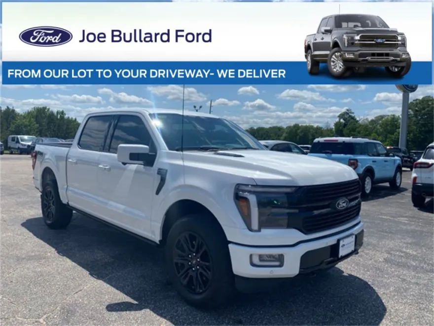 2025 Ford F-150 Platinum photo 1