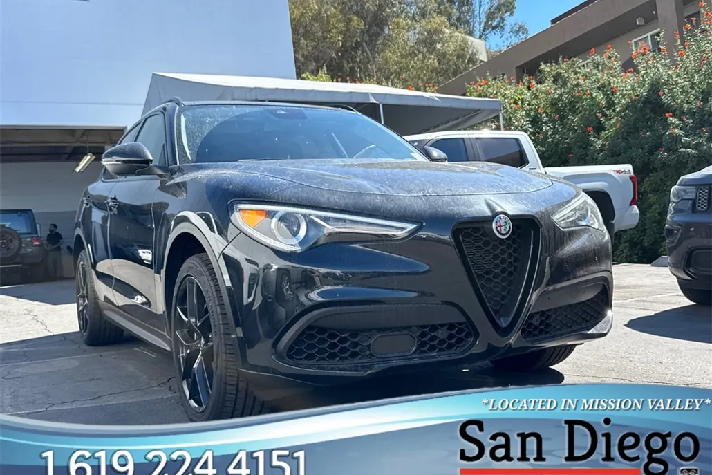 2020 Alfa Romeo Stelvio Base photo 1