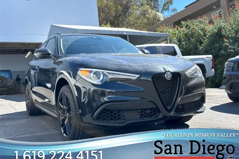 2020 Alfa Romeo Stelvio Base photo 1