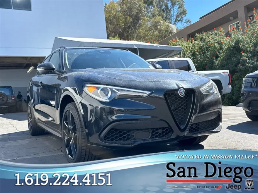 2020 Alfa Romeo Stelvio Base photo 1
