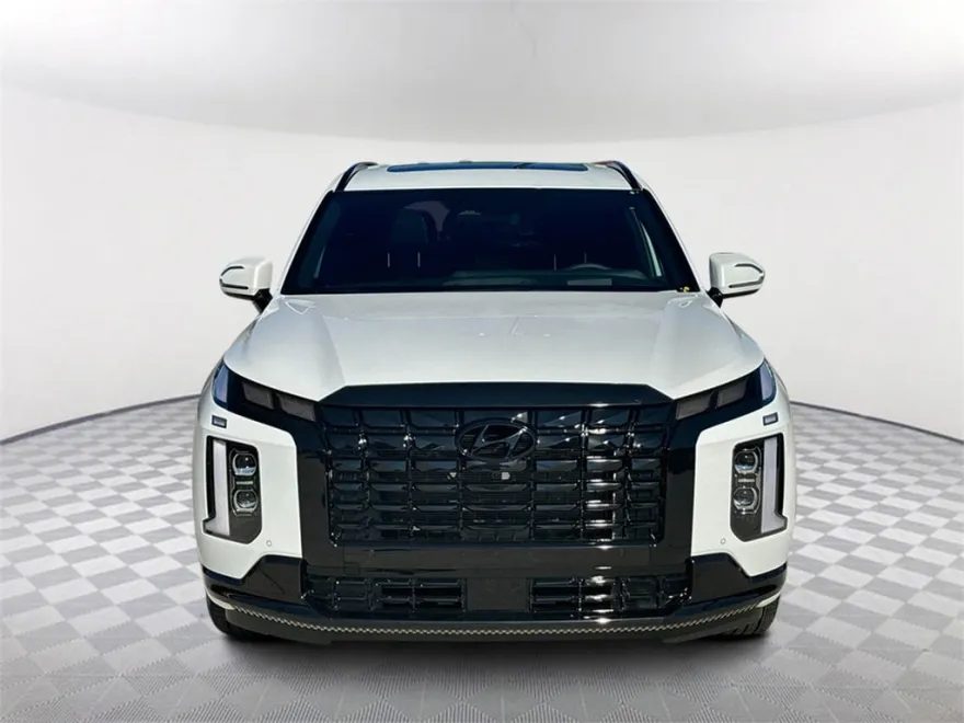 2025 Hyundai Palisade Calligraphy photo 2