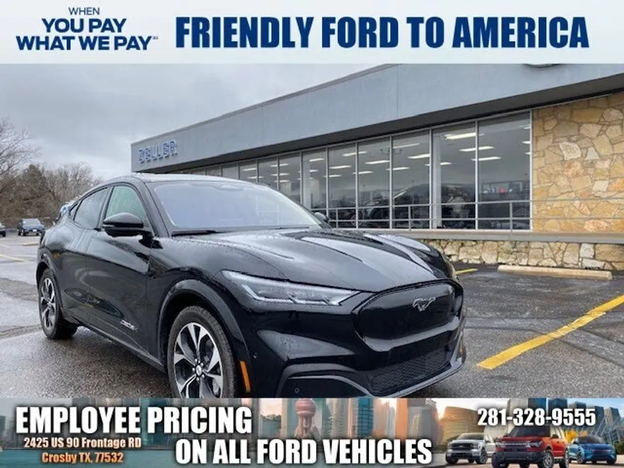 2023 Ford Mustang Mach-E Premium photo 1