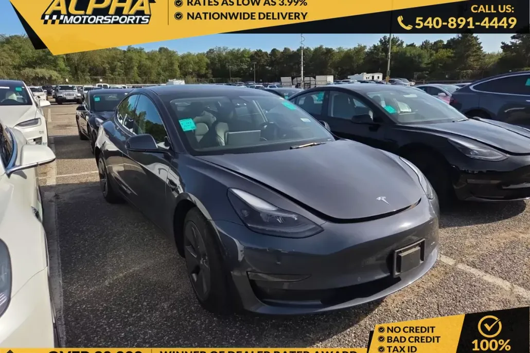 2022 Tesla Model 3 photo 1