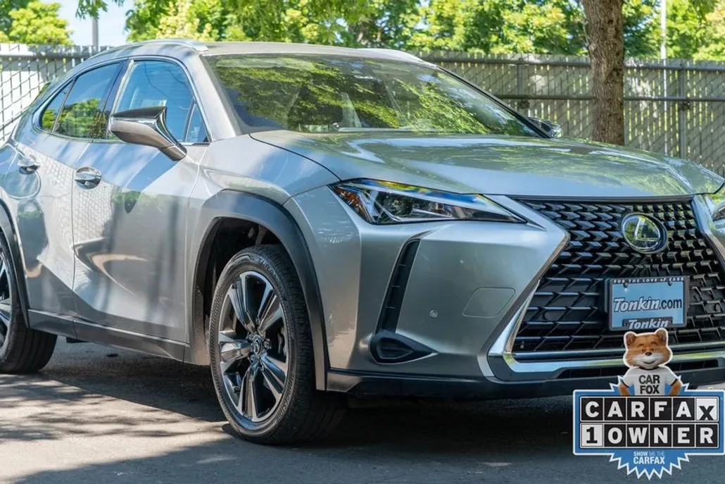 2021 Lexus UX 250h photo 1