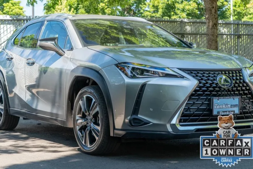 2021 Lexus UX 250h photo 1