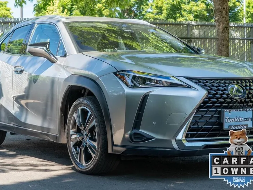 2021 Lexus UX 250h photo 1