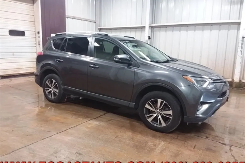2017 Toyota RAV4 XLE photo 1