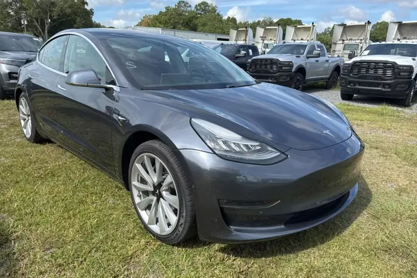 2019 Tesla Model 3 Standard Range Plus photo 1