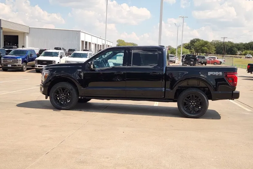 2025 Ford F-150 Platinum photo 1