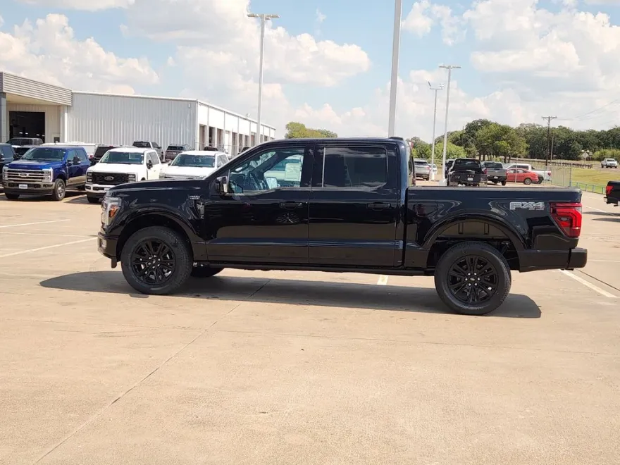 2025 Ford F-150 Platinum photo 1
