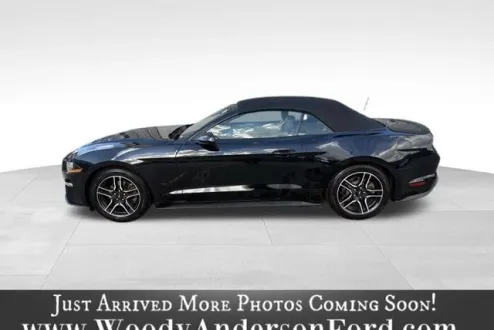 2021 Ford Mustang EcoBoost Premium photo 2