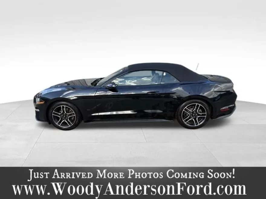 2021 Ford Mustang EcoBoost Premium photo 2