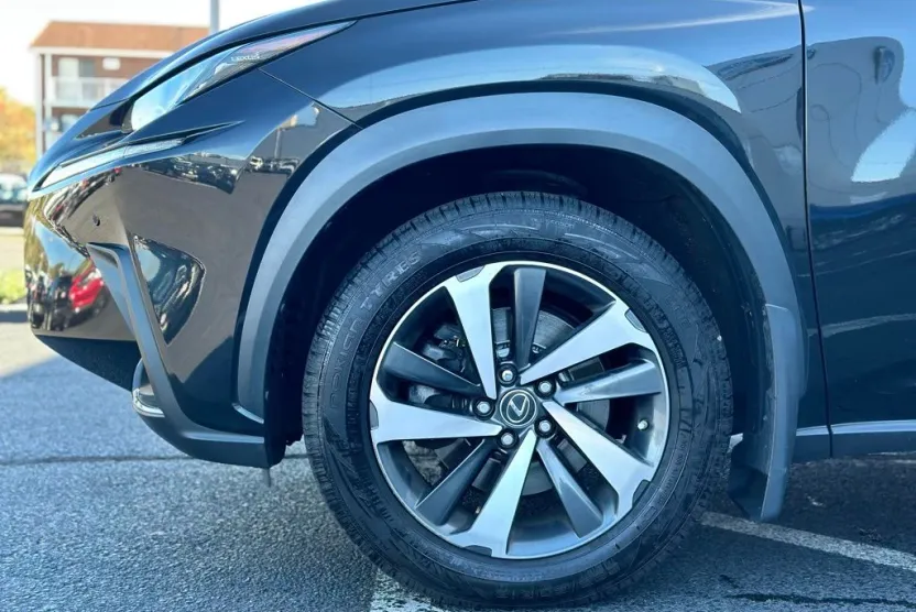 2019 Lexus NX 300 Luxury photo 1