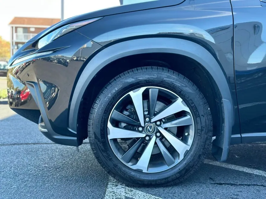 2019 Lexus NX 300 Luxury photo 1