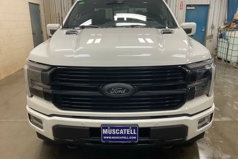 2025 Ford F-150 Platinum photo 1