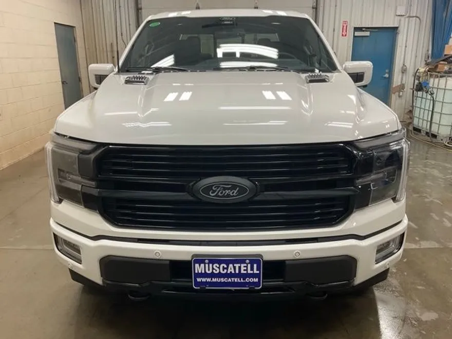2025 Ford F-150 Platinum photo 1