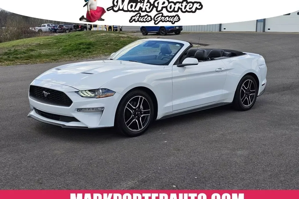 2023 Ford Mustang EcoBoost Premium photo 1