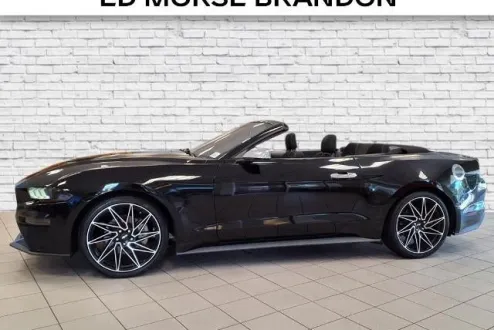 2019 Ford Mustang EcoBoost photo 2