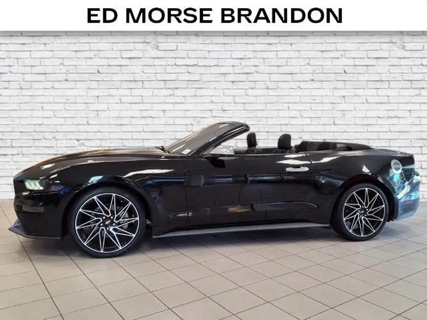 2019 Ford Mustang EcoBoost photo 2