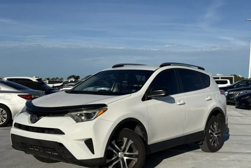 2017 Toyota RAV4 LE photo 1