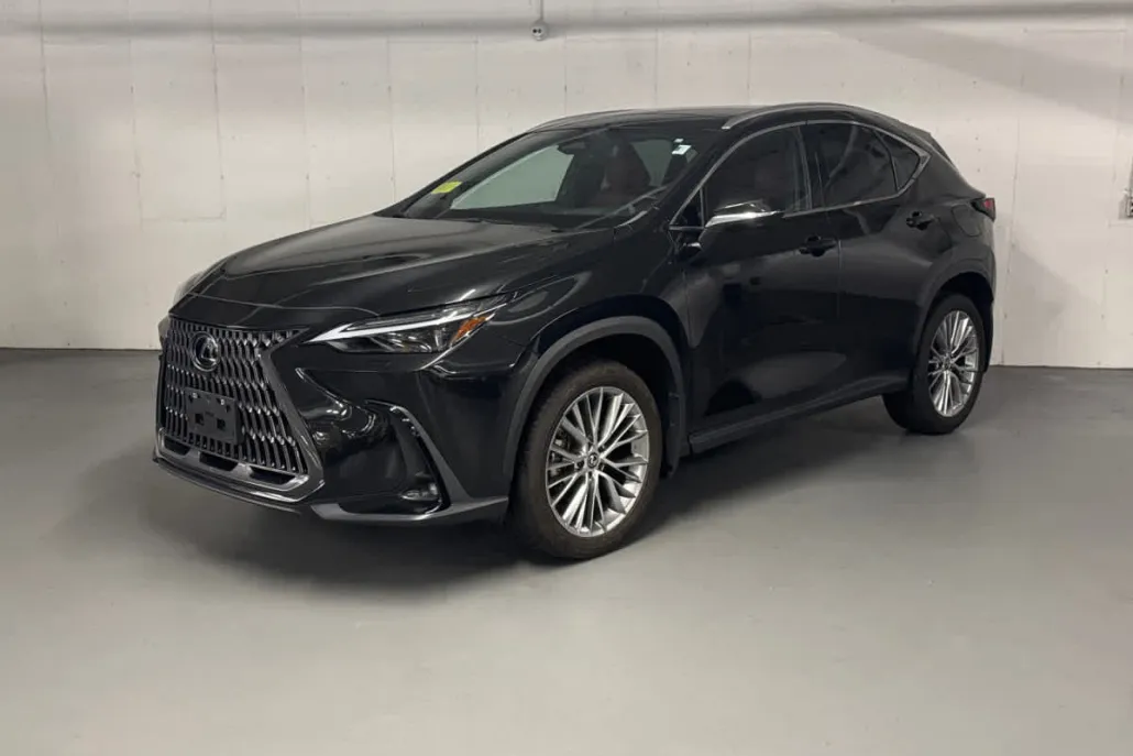 2024 Lexus NX 350 Luxury photo 1