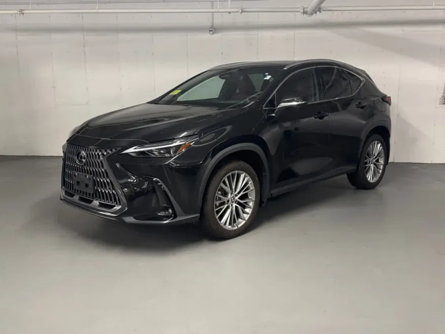 2024 Lexus NX 350 Luxury photo 1