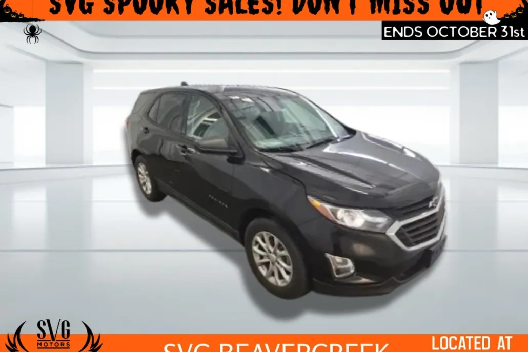 2019 Chevrolet Equinox LS photo 1