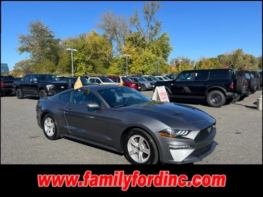 2021 Ford Mustang EcoBoost photo 1