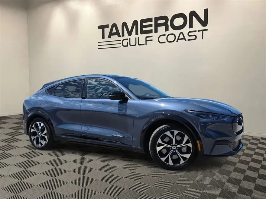 2021 Ford Mustang Mach-E Premium photo 1