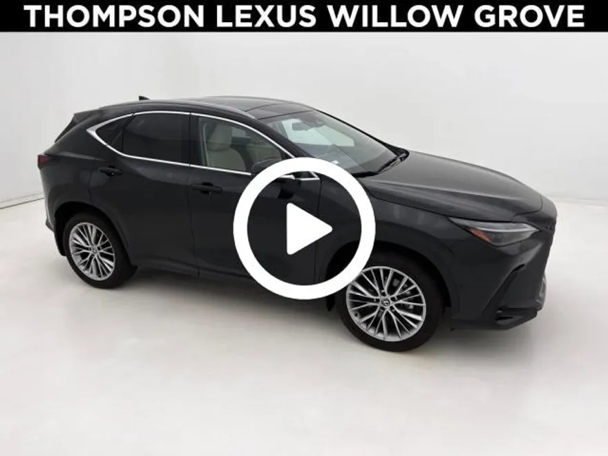 2025 Lexus NX 350 Luxury photo 1