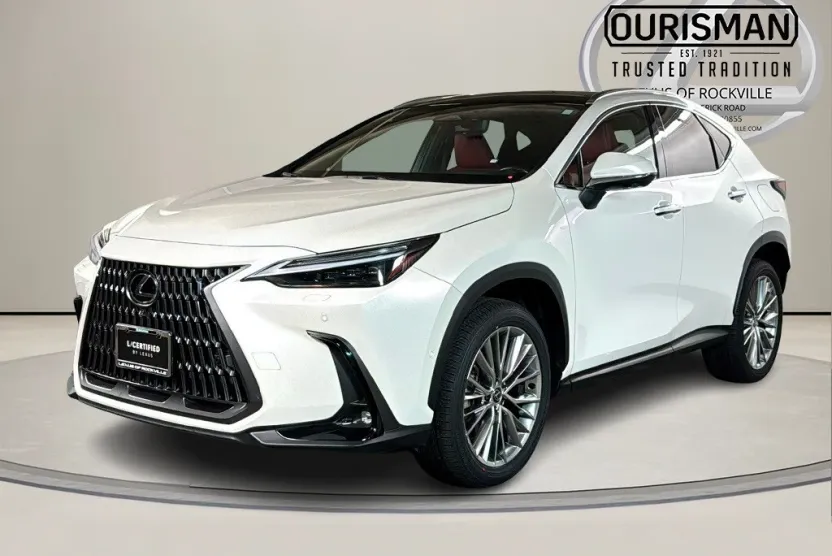 2024 Lexus NX 350h Luxury photo 1