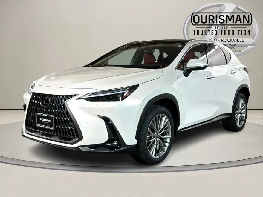 2024 Lexus NX 350h Luxury photo 1