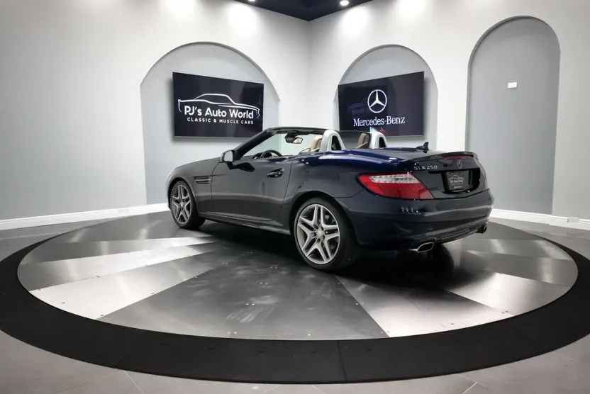 2014 Mercedes Benz SLK 250 photo 1