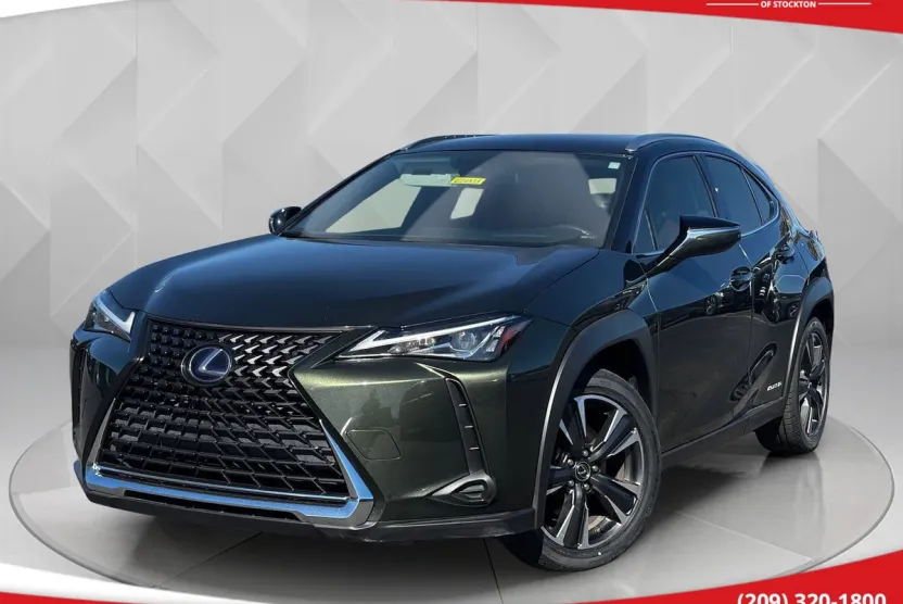 2020 Lexus UX 250h photo 1