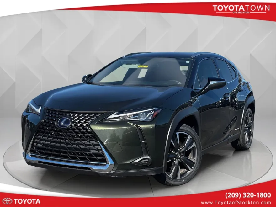 2020 Lexus UX 250h photo 1